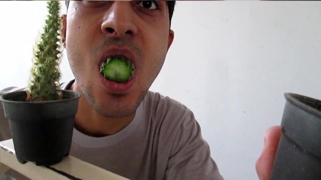 خوردن کاکتوس توسط یک ایرانی!!