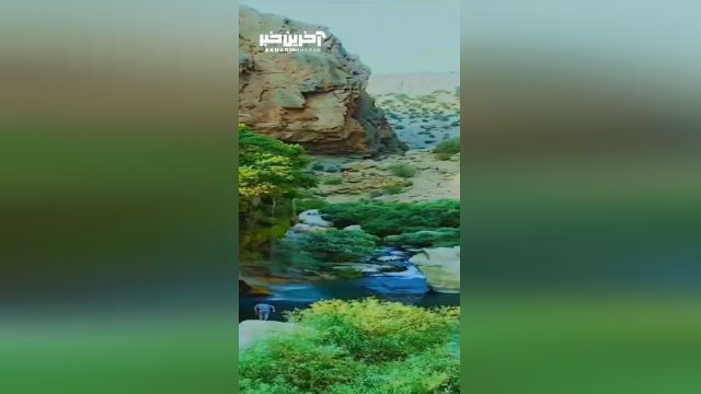 کلیپ آبشارِ زیبای تنگ براق در استان فارس