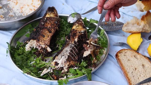 طرز تهیه ماهی شکم پر شمالی برای شب عید مرحله به مرحله