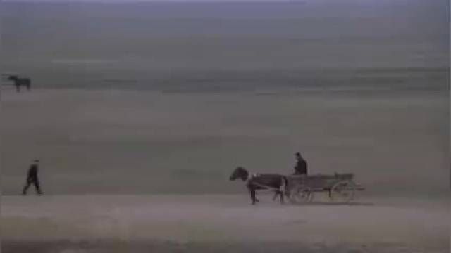 موسیقی فیلم دشت گریان (2004) - النی کاریندرو