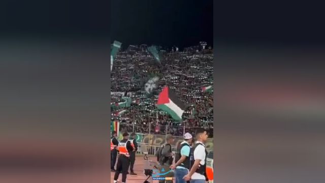 هیجان انگیزترین لحظات: پرچم فلسطین در یک ورزشگاه در ایرلند به لرزه درآمد