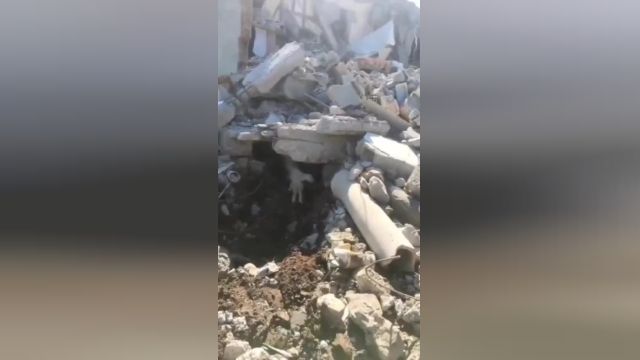 نجات برره‌ها از زیر آوار در ترکیه | ویدیو