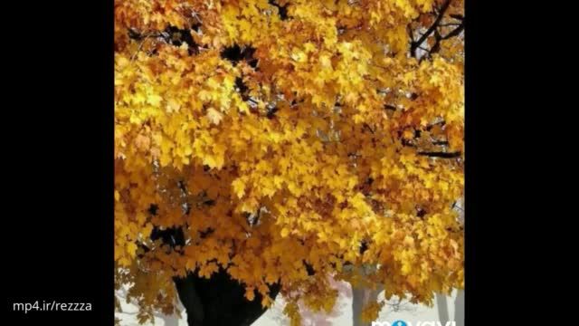 کلیپ بسیار زیبا پاییزی /پاییزی زیبا /فصل زیبا
