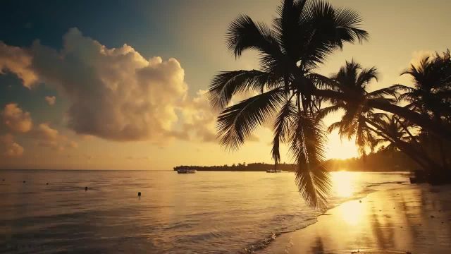 8 ساعت صدای آرام امواج اقیانوس | فیلم طلوع آفتاب در ساحل گرمسیری