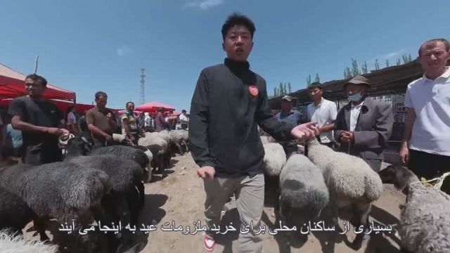 (ویدئو) حال و هوای عید قربان در بازارهای شین جیانگ