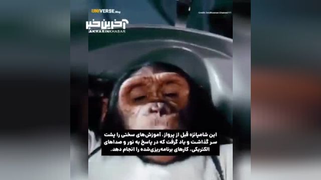 شامپانزه ای که به فضا رفته: هام، اولین تجربه هیجان انگیز در فضا