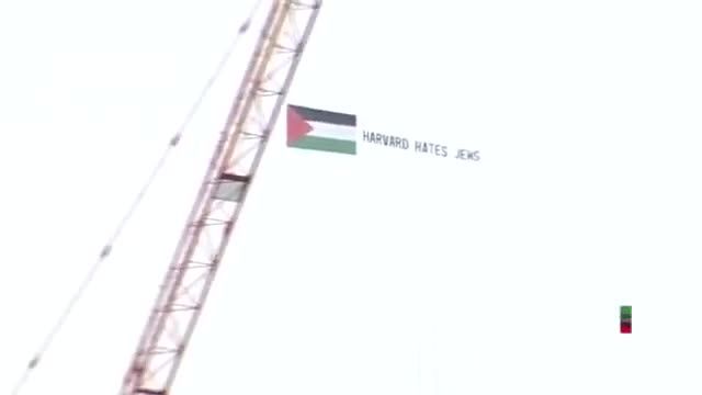 اقدام جالب دانشگاه؛ پرواز یک هواپیما با پرچم فلسطین بر فراز دانشگاه هاروارد