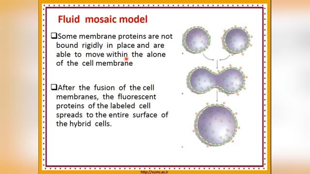 ساختار سلول (Cell structure) | آموزش جامع و کامل بافت شناسی عمومی | جلسه دوم (2)