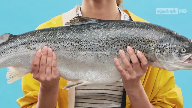 ترفندهای از بین بردن بوی زهم ماهی | این ویدیو را حتما ببینید!