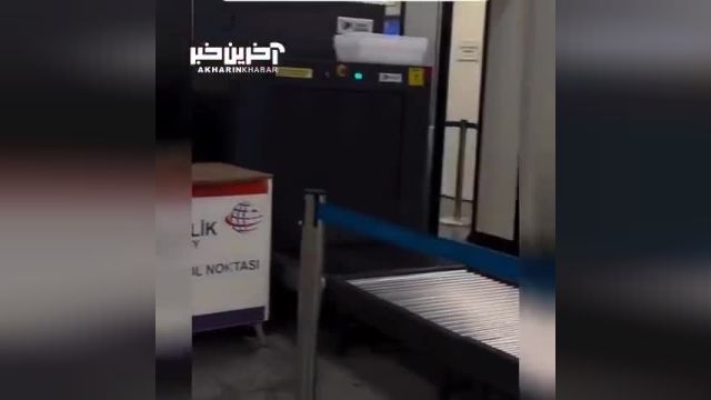 گربه استانبولی: یک همکار ارزشمند در نقش پلیس امنیتی!