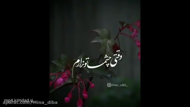 کلیپ بسیار زیبای تنهایی برای استوری