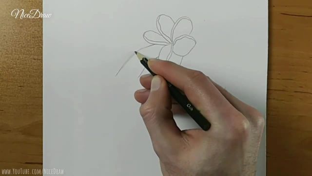 آموزش گام به گام نقاشی با مداد رنگی : کشیدن دستی را که گل در دست گرفته است