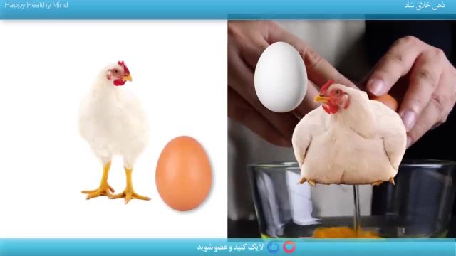 حقایق علمی در مورد تغذیه و مصرف تخم مرغ که شما را متعجب می کند!
