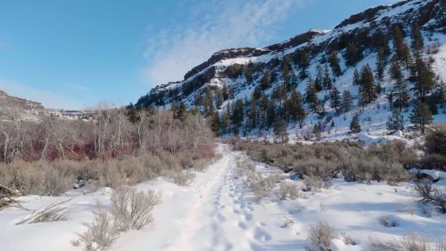 پیاده‌ روی مجازی با صدای برف | پیاده‌ روی زمستانی در امتداد دره نورتروپ