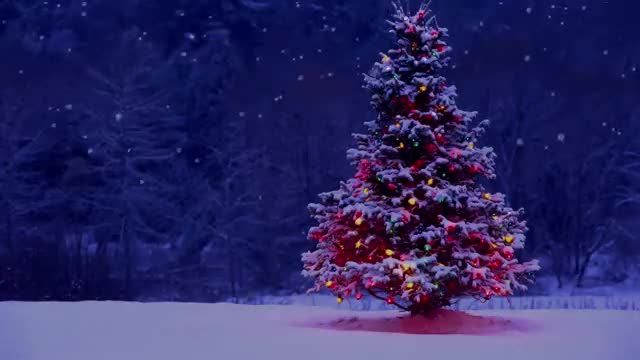 بهترین موسیقی آرامش‌ بخش کریسمس 2015 | 3 ساعت موسیقی پیانوی ساز زمستانی