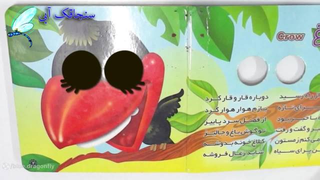 کلیپ  کودکانه فارسی | شعر پرندگان
