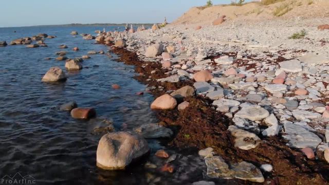 فیلم هوایی طبیعت استونی | ویدیوی آرامش بخش طبیعت 2 ساعته + موسیقی آرام