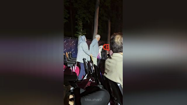 کلیپ پدربزرگ و مادربزرگ تهرانی در کنسرت علیرضا قربانی | ویدیو