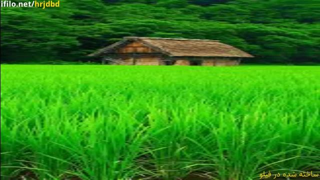 ویدیو صبح بخیر-کلیپ انرژی مثبت