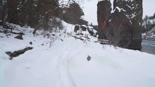 تور پیاده‌ روی زمستانی | ویدیوی طبیعت دیدنی و جذاب زمستان