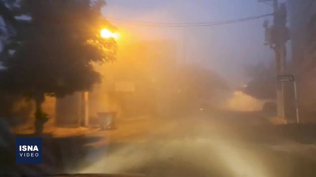 مه شدید استان بوشهر را درنوردید | ویدیو