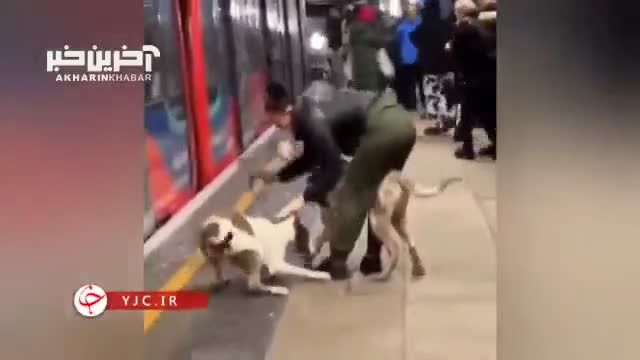 فیلمی از حمله سگ به یک مرد در ایستگاه مترو | ببینید