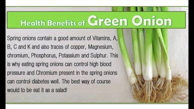 خواص پیازچه | سبزی ای سرشار از ویتامین c