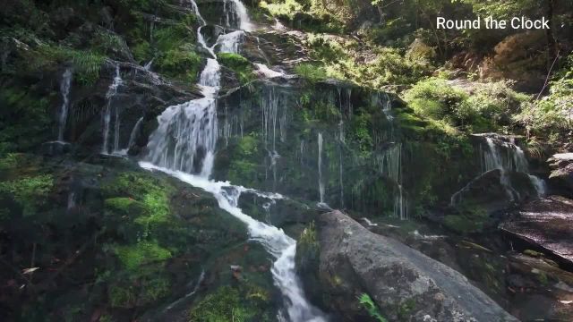 ویدیوی زیبای مناظر طبیعی برای کاهش استرس با موسیقی آرامش بخش