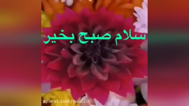 کلیپ صبح بخیر با آهنگ فوق العاده شاد