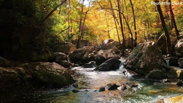 ویدیو طبیعت برای وضعیت واتساپ 30 دقیقه ای با موسیقی آرامبخش