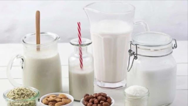 انواع شیر گیاهی | طرز تهیه شیر های گیاهی و بررسی خواص آنها