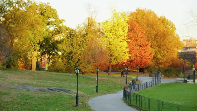 پاییز در پارک مرکزی نیویورک | رنگ های پاییزی پربازدیدترین پارک در ایالات متحده