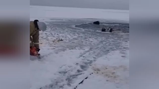 گرفتار شدن اسب‌ ها در دریاچه‌ ای از یخ در روسیه