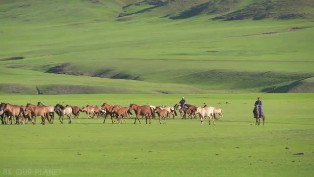 طبیعت زیبای شگفت انگیز مغولستان | محافظ صفحه نمایش تلویزیون