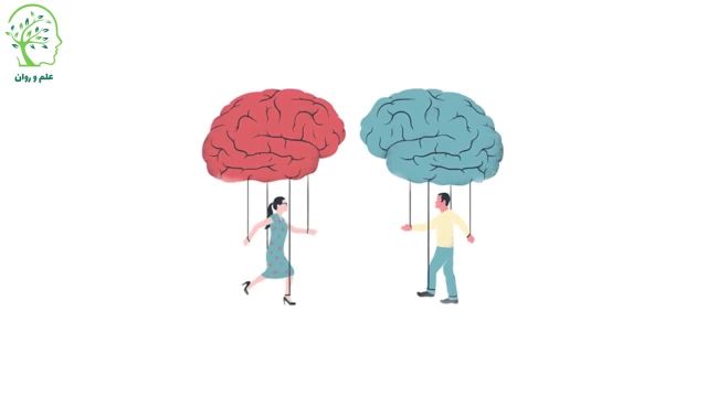 تفاوت مغز زنان با مردان در چیست؟