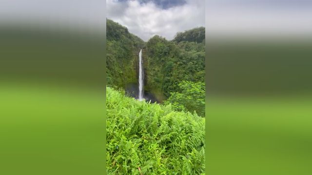 زیبایی جزیره بزرگ، هاوایی برای نمایشگرهای عمودی | ویدیوی آرامش بخش با صداهای آرام طبیعت