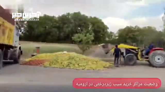 قصه پرغصه تلنبار سیب کنار جاده؛ وضعیت مراکز خرید سیب زیر درختی در ارومیه