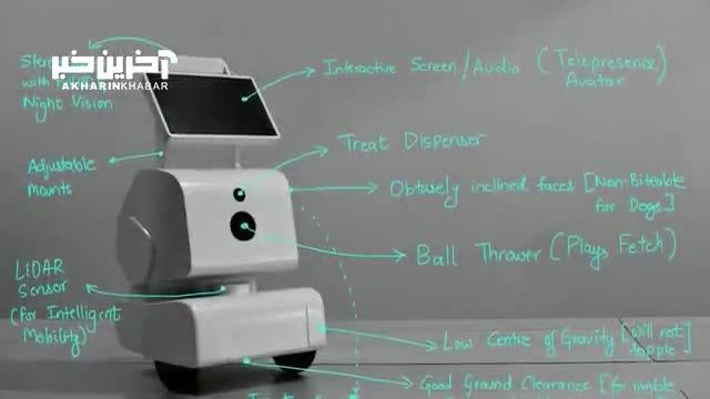 ربات همراه حیوانات خانگی: دوست وفادار برای همراهی با حیوانات خانگی