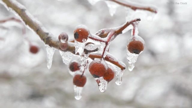 ویدیو طبیعت زمستانی فوق العاده زیبا برای وضعیت و استوری با موسیقی آرامش بخش