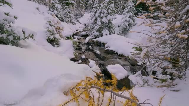 8 ساعت صداهای آرامش بخش یک رودخانه جنگلی کوچک در زمستان | قسمت 1