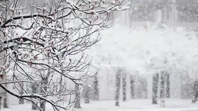 ویدیو طبیعت زمستانی برای استوری اینستاگرام 30 دقیقه ای با موسیقی آرامش بخش