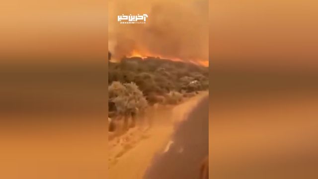 حادثه آتش‌سوزی عظیم در جنگل‌های آفریقای جنوبی
