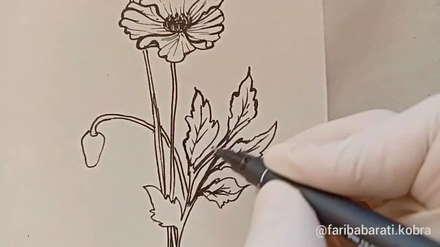 آموزش طراحی گل با مداد و راپید برای مبتدیان