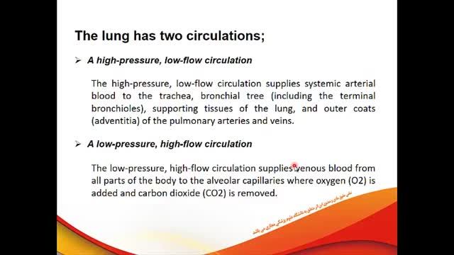 گردش خون ریوی (Pulmonary Circulation) | فیزیولوژی دستگاه تنفس | جلسه چهارم