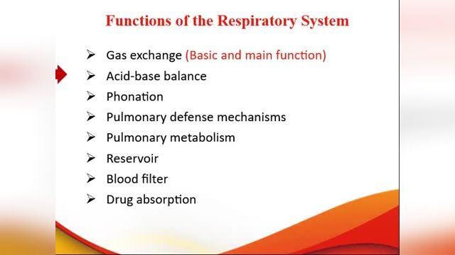 عملکرد سیستم تنفسی | آموزش فیزیولوژی دستگاه تنفس | جلسه اول