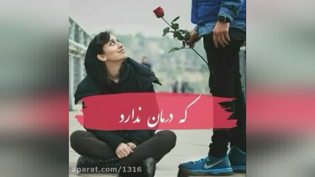 استوری عاشقانه ولنتاین || استوری تبریک ولنتاین