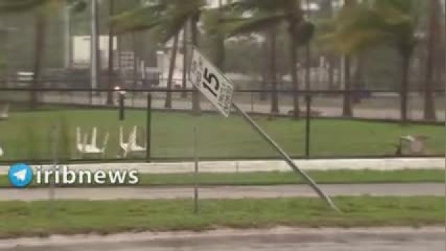 طوفان سهمگین "السا" فلوریدا را درنوردید