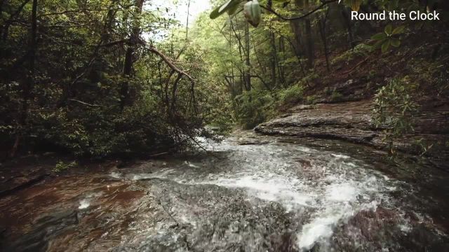ویدیوی استوری اینستاگرام طبیعت 30 ثانیه ای با موسیقی آرامش بخش