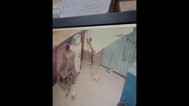 لحظه سقوط سارق با گونی گندم از روی نردبان | ویدیو