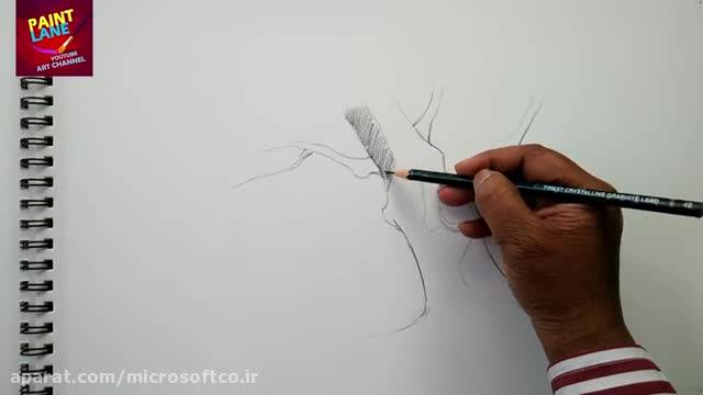 آموزش طراحی/رسم درخت با مداد